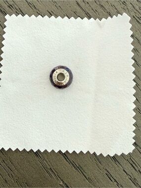 Sterling 925 Purple Faceted Chamilia Charm